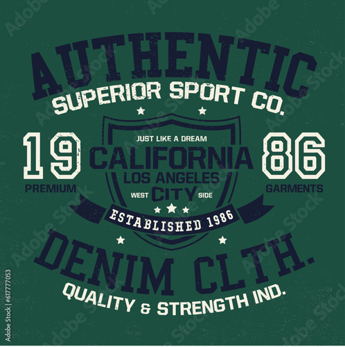 t-shirt print vector design as varsity style