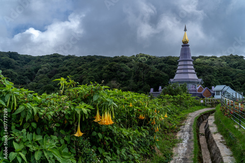 View of Pra Mahatat Noppamethanedon and Pra Mahatat Nopphonphusiri Chiang Mai, Thailand © alis