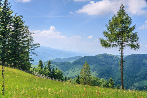 View of the peaks of Beskid Sądecki (Poland) from the yellow tourist trail near Hala Pisana on a spring sunny day photo