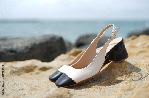 Footwear summer style with pair womens shoes