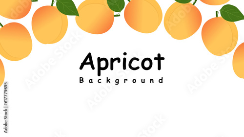 Fresh Apricot fruits frame with place for text. Beautiful vector composition of apricot fruits on white background for banner, poster, packaging. Vector illustration