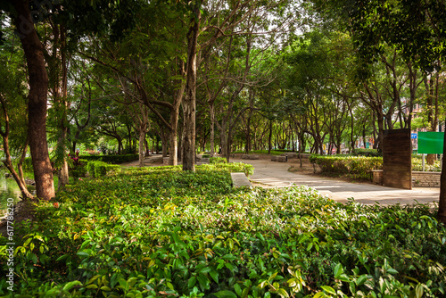The gentle sunlight shines on the stone sidewalk of a park in the city, surrounded by a large number of green trees and grass, with a green billboard next to it.