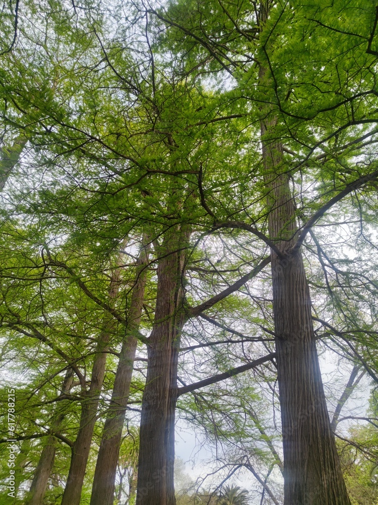 Fototapeta premium Maravillas de la Naturaleza