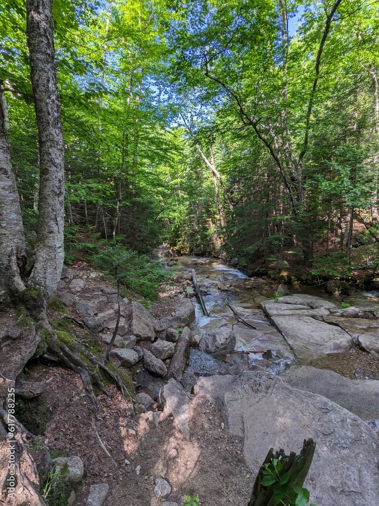 Obraz premium Northeastern US Landscapes
