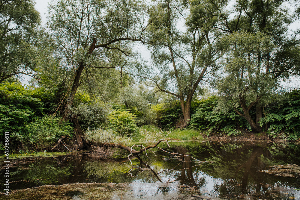 droga, drzewa, las, natura, pola, łąki, niebo, pogoda, krajobraz, drzew, gras, countryside, zieleń, podróż, woda, rzeka, staw droga, drzewa, las, natura, pola, łąki, niebo, pogoda, krajobraz, drzew, gras, countryside, zieleń, podróż, woda, rzeka, staw