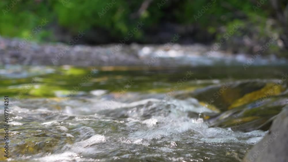 A mountain river in a deep forest. Mountain river rapids A mountain river in a deep forest. Mountain river rapids