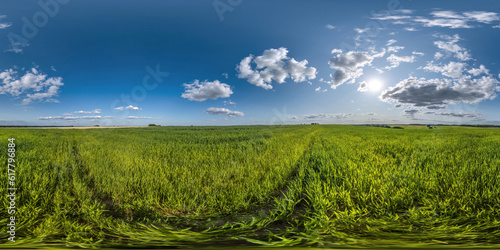 spherical 360 hdri panorama among green grass farming field with clouds on blue sky with sun in equirectangular seamless projection  use as sky replacement  game development as skybox or VR content