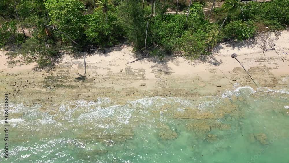 Top down aerial view of a tropical beach, shallow ocean and palm trees Top down aerial view of a tropical beach, shallow ocean and palm trees