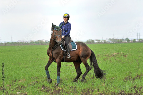 Purebred horse with rider on a green field outdoors.  Horseback riding in the fresh air. © Mykola