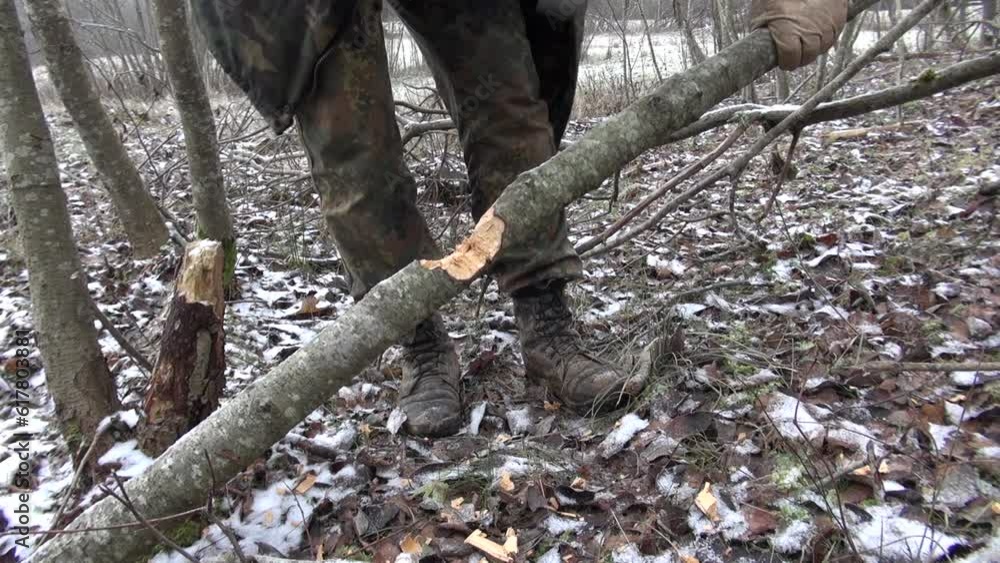Cutting Down Trees With An Axe Cutting Down Trees With An Axe