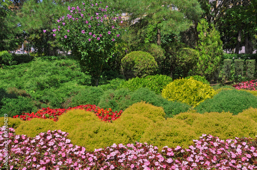 Beautiful bright flower garden with different flowers in the city botanical garden