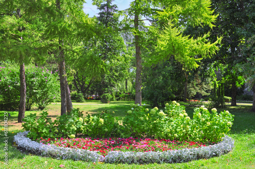 Beautiful bright flower garden with different colors among coniferous trees in the city botanical garden