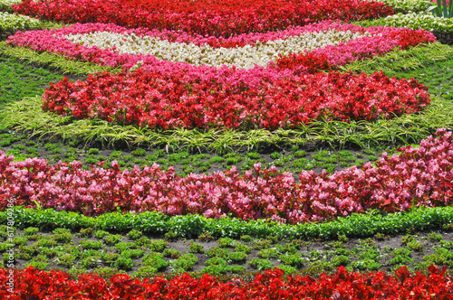 Beautiful multi-tiered bright flower garden with different flowers in the city botanical garden