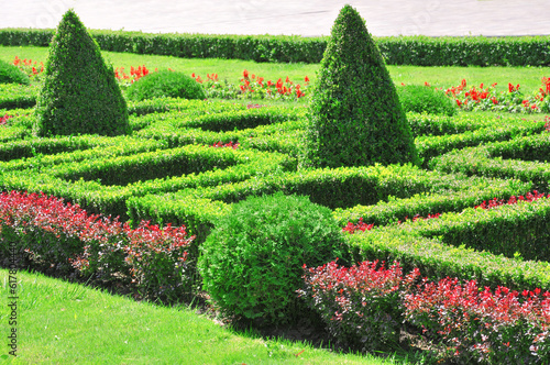 Decorative geometric garden maze of flowers and bushes
