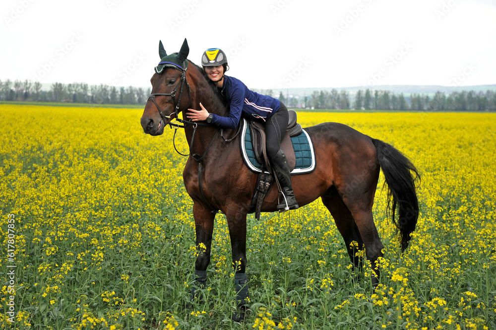 Purebred horse with rider on a rapeseed field outdoors in rural scene