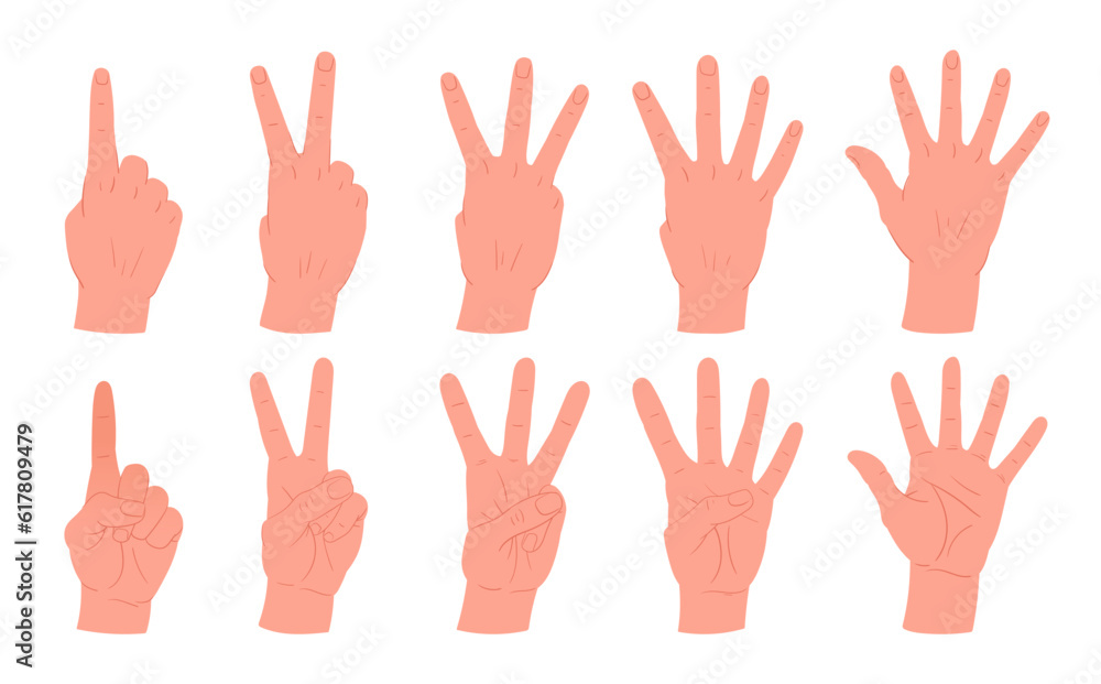Cartoon counting hands gestures. Human palms with count from one to five gestures, hands with countdown gesture flat vector illustration set Cartoon counting hands gestures. Human palms with count from one to five gestures, hands with countdown gesture flat vector illustration set