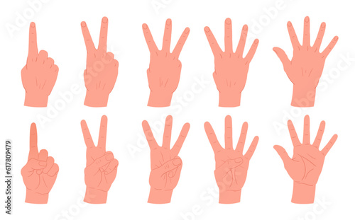 Cartoon counting hands gestures. Human palms with count from one to five gestures, hands with countdown gesture flat vector illustration set