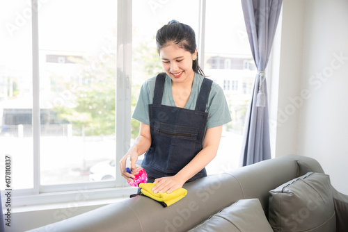 Free Download A young female housewife is cleaning the sofa with rags. - GFXLoad