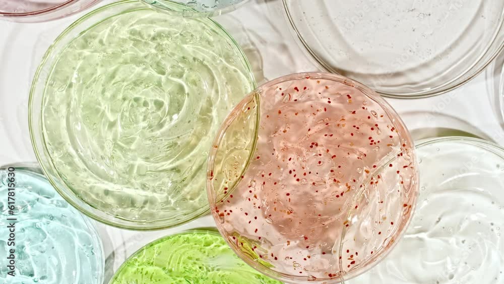Rotation of Petri Dishes with Cosmetic Gel Fluid with Bubbles on a White Background. Transparent Gel Fluid, Serum, Cream. Chemical laboratory research. Natural Organic cosmetics, medicine. 4k Rotation of Petri Dishes with Cosmetic Gel Fluid with Bubbles on a White Background. Transparent Gel Fluid, Serum, Cream. Chemical laboratory research. Natural Organic cosmetics, medicine. 4k