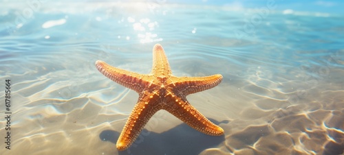 Landscape seascape summer vacation holiday travel tropical ocean sea background panorama - Close up of starfish on the sand beach in the water of the ocean, illuminated by the sun (Generative Ai) © Corri Seizinger