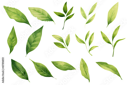 Watercolor Matcha Green tea elements leaves objects isolated on clear png background, various Japan matcha leaf plant, morning drinks, delicious beverages clipart set, with Generative Ai.
