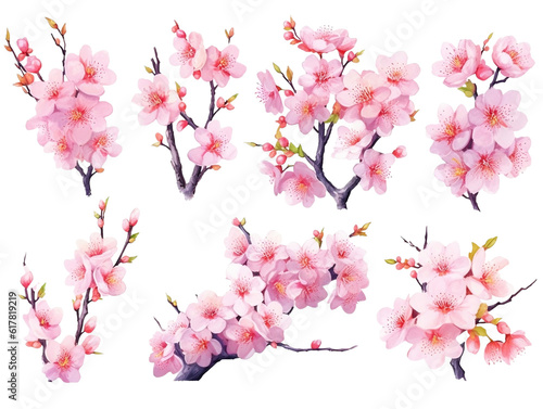 Cherry blossom branches. Japanese blooming trees, sakura flowers spring decor hand paint illustration set. Generative AI
