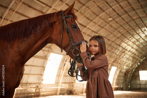 Standing, side view, taking care of animal. Cute little girl is with horse indoors