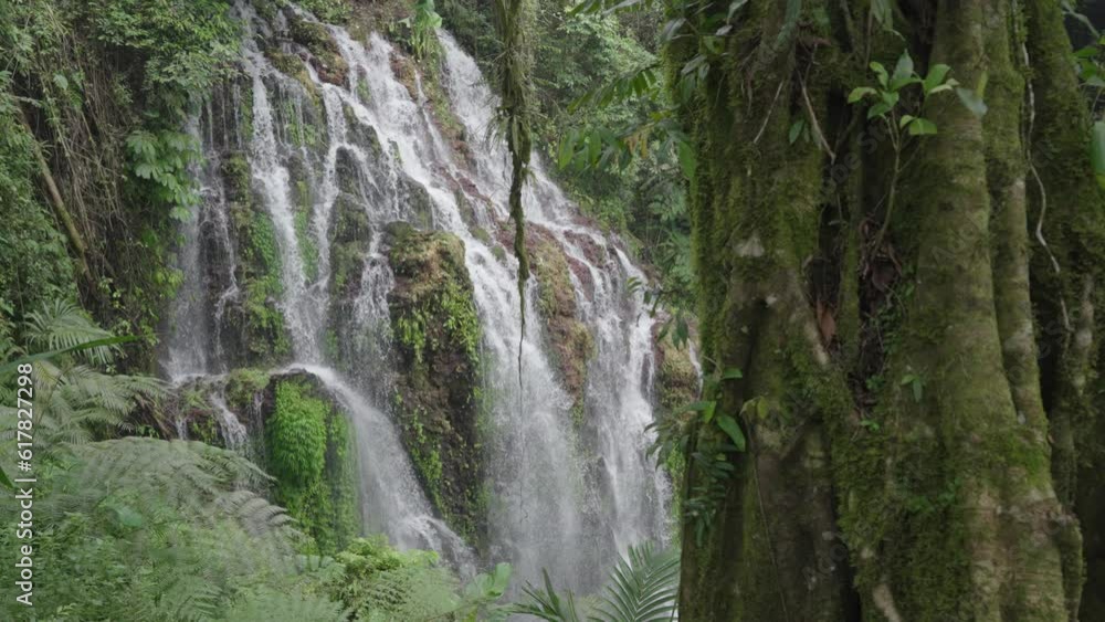 Banyu Wana Amertha Waterfall Surrounded by Lush Tropical Vegetation in Bali, Indonesia Banyu Wana Amertha Waterfall Surrounded by Lush Tropical Vegetation in Bali, Indonesia