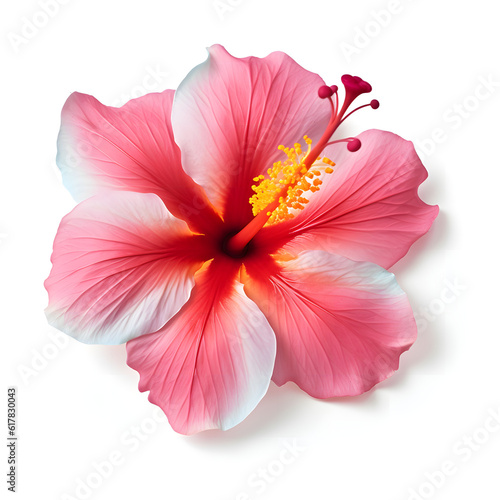 Ilustration 3D of hawaii flower