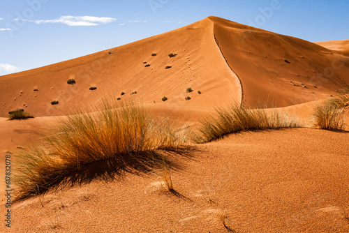 Crest of a dune with desert bushes. Merzouga is a small village in southeastern Morocco, about 35km (22 miles) southeast of Rissani, about 55km (34 miles) from Erfoud and about 50km (31 miles) from th photo