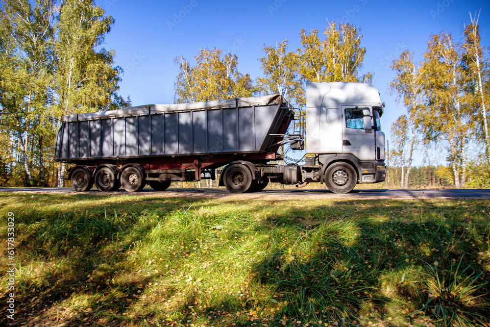 A truck with a semi-trailer transports bulk cargo grain in a special semi-trailer in autumn. Cargo transportation on country roads. Copy space for text