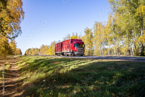 The new red truck with a semi-trailer transports a lot of bulk cargo. Cargo transportation on a country road against the backdrop of a forest in autumn. Copy space for text photo