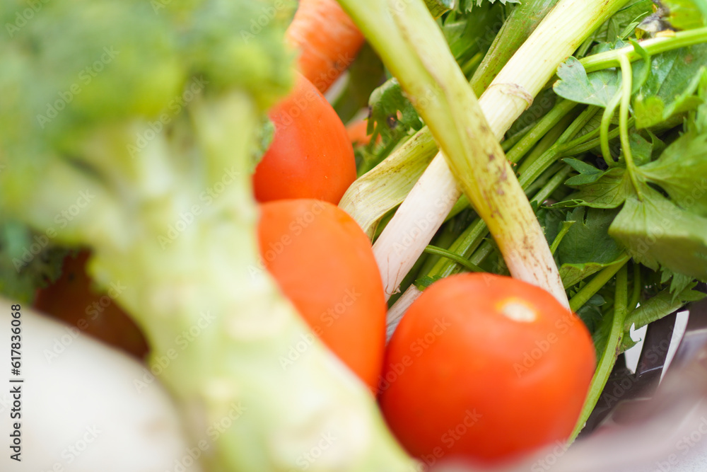 a basket containing many vegetables a basket containing many vegetables
