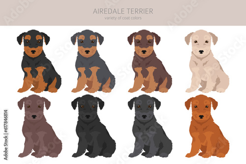 Airedale terrier puppies all colours clipart. Different coat colors set
