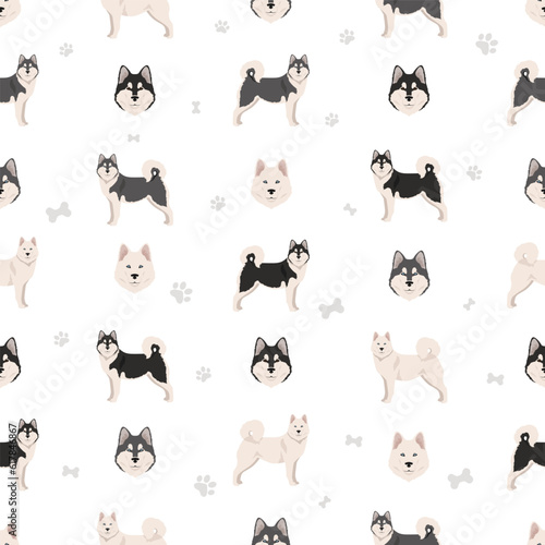 Alaskan malamute all colours seamless pattern. Different coat colors and poses set