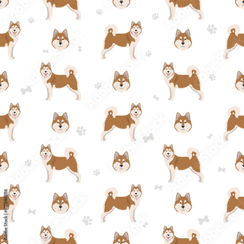 Alaskan malamute all colours seamless pattern. Different coat colors and poses set