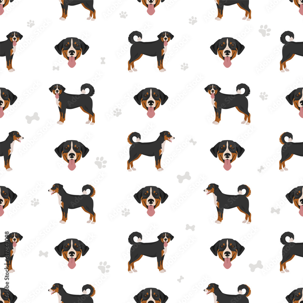 Appenzeller sennenhund all colours seamless pattern. Different coat colors and poses set