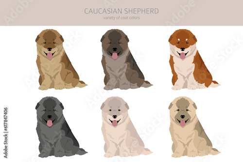 Caucasian shepherd puppies clipart. Different poses, coat colors set