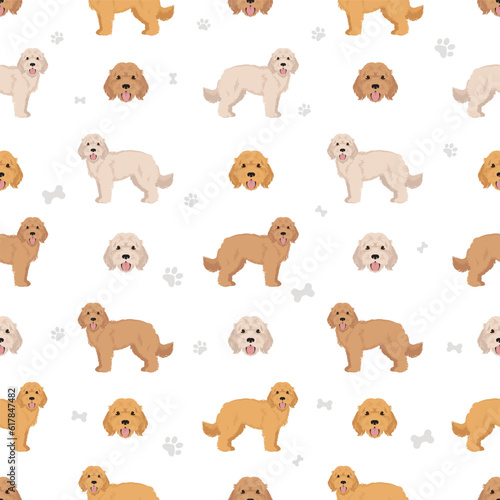 Cockapoo seamless pattern. Different poses, coat colors set