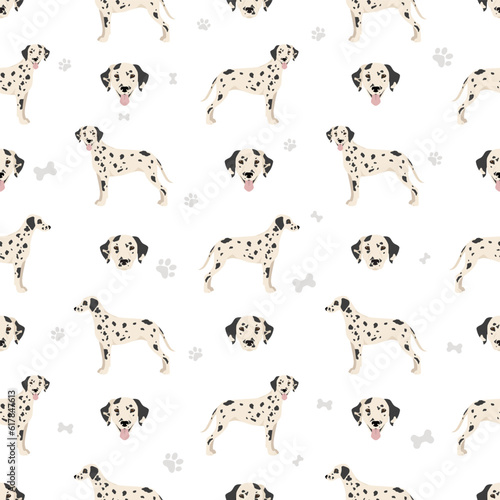 Dalmatian dogs seamless pattern. Different poses, coat colors set