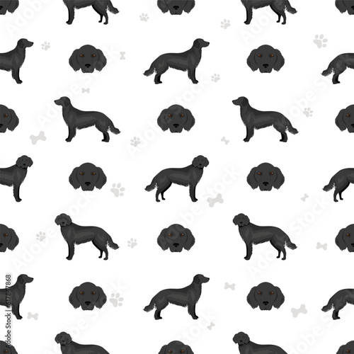 Flat coated retriever seamless pattern. Different poses, coat colors set