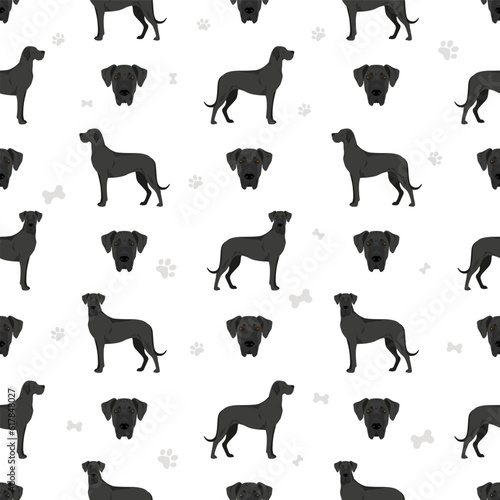 Great dane seamless pattern. Different variaties of coat color dog set