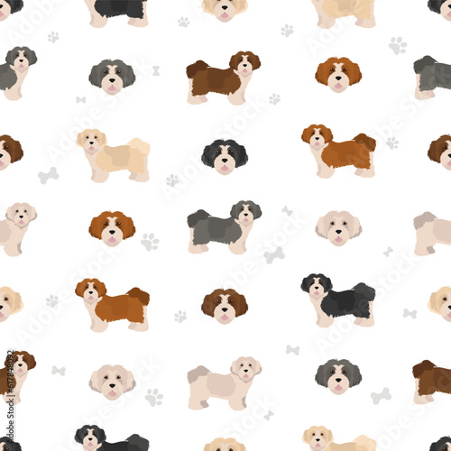 Havanese dog seamless pattern. Different poses, coat colors set