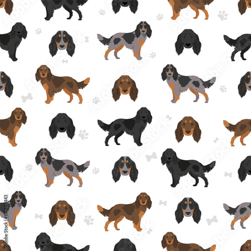 Picardy Spaniel seamless pattern All coat colors se