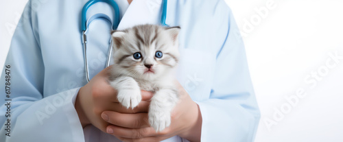 Little fluffy kitten in hands of veterinarian doctor in medical white coat with a stethoscope. Isolated on white background. Copy space, veterinary clinic banner. Generative AI photo.