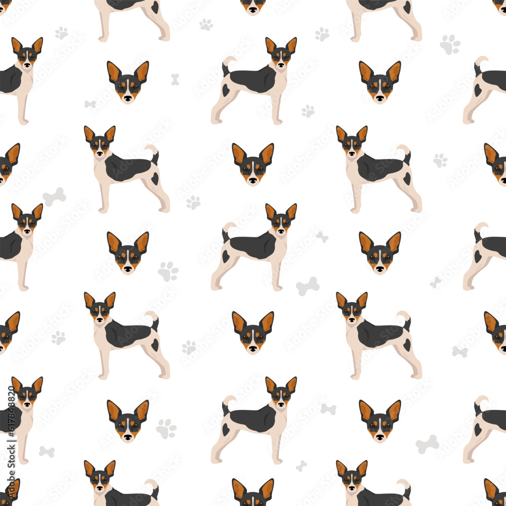 Rat terrier seamless pattern. Different poses, coat colors set Rat terrier seamless pattern. Different poses, coat colors set