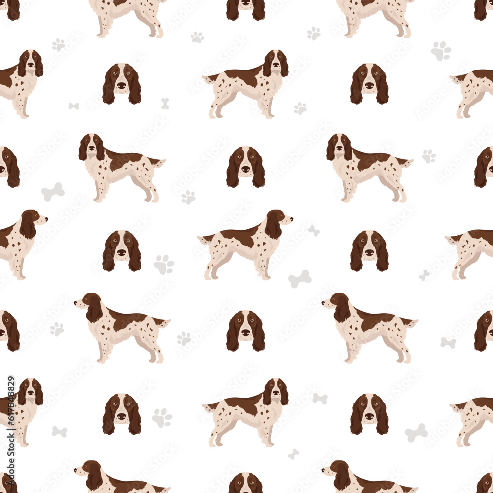 Russian Spaniel seamless pattern. All coat colors set.  All dog breeds characteristics infographic