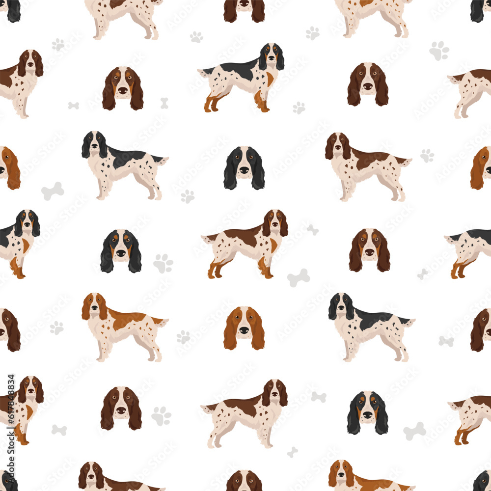 Russian Spaniel seamless pattern. All coat colors set.  All dog breeds characteristics infographic
