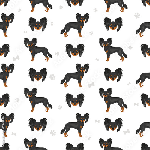Russian toy terrier longhaired seamless pattern. Different poses, coat colors set