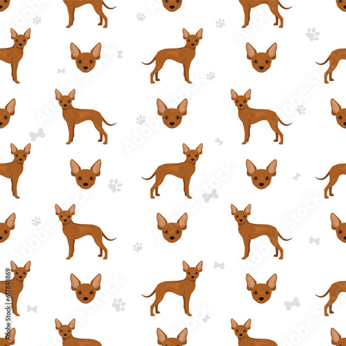 Russian toy terrier shorthaired seamless pattern. Different poses, coat colors set © a7880ss